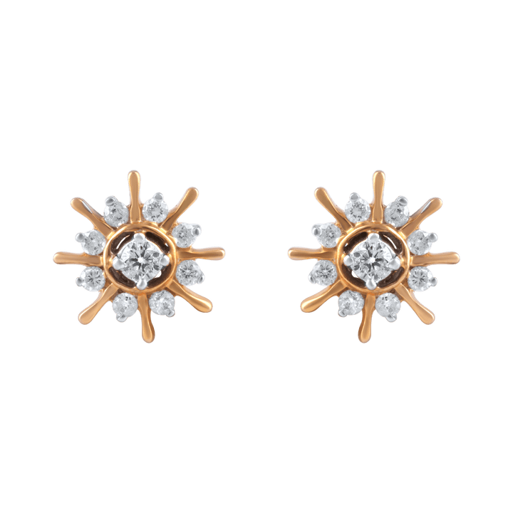 Elegant Diamond Earrings